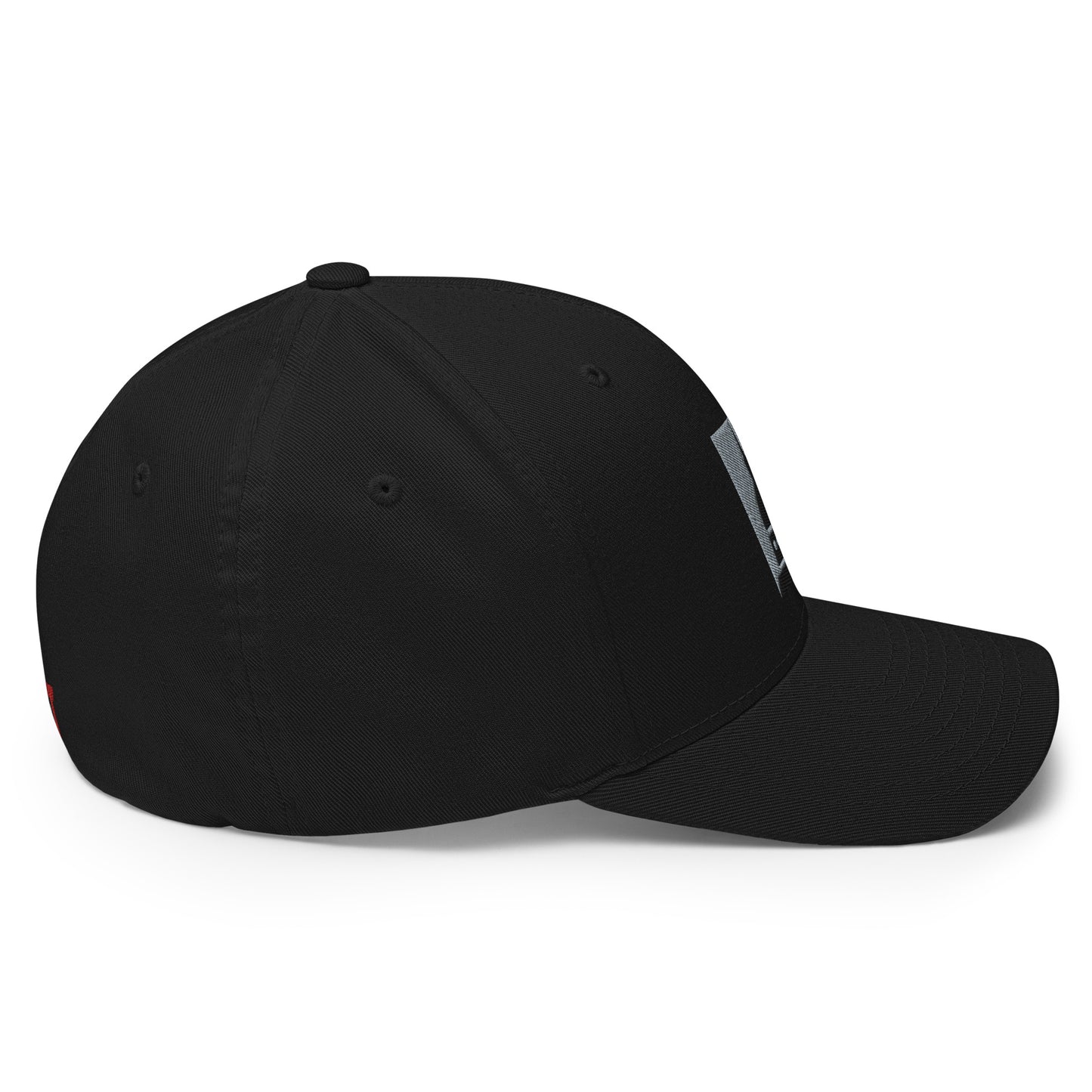 Piedmont - Mole Antonelliana - Black